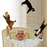 popeandcats